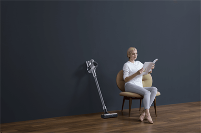 XCLEA QYXCQ01 Вертикальный Пылесос XCLEA Vacuum Cleaner P10X Space Gray (зарядное устройство KA2401A-3000800EU) 2C501EUS-mrv - фото 2783267