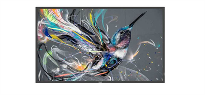 Philips_LFD Информационный дисплей 43'' 16:9 3840x2160(UHD 4K) IPS, 60 Hz, 400cd/m2, H178°/V178°, 1200:1, 500K:1, 1.07B, 8ms, DVI, 2xHDMI, RJ-45, RS232C,  2xUSB Type A, Speakers, 18/7, 3Y, Black 43BDL3511Q (00/01)-mrv1 - фото 3042967