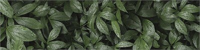 Фартук для кухни «Ботанический сад»,  ХДФ с у/ф печатью  ,    ,  610*2440*3 sppr5VVTtoAR122-2186 (68747) - фото 3807763