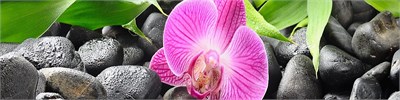 Фартук для кухни «Орхидея»,  ХДФ с у/ф печатью  ,    ,  610*2440*3 sppr5VVTtoAR086-0193 (24521) - фото 3807796