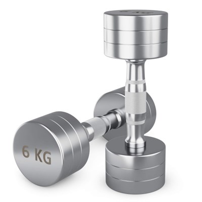 Гантель UNIX Fit PRO круглая хромированная 6 кг, 2 шт. msk25 unt_DBRND6PCEx2 - фото 3845575