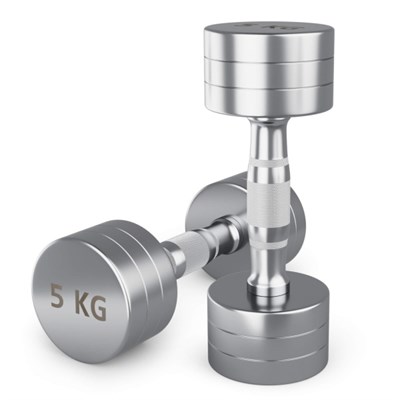 Гантель UNIX Fit PRO круглая хромированная 5 кг, 2 шт. msk25 unt_DBRND5PCEx2 - фото 3845576