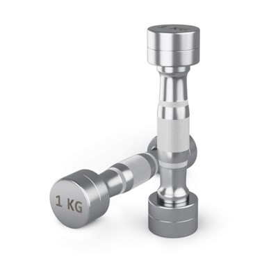 Гантель UNIX Fit PRO круглая хромированная 1 кг, 2 шт. msk25 unt_DBRND1PCEx2 - фото 3845581