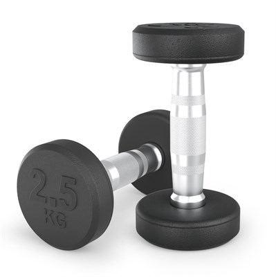 Гантель UNIX Fit PRO круглая обрезиненная 2,5 кг, 2 шт. msk25 unt_DBRND2_5PBKx2 - фото 3845602