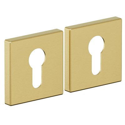 Накладка AS-3CL SGold sp2510BR_047-0342