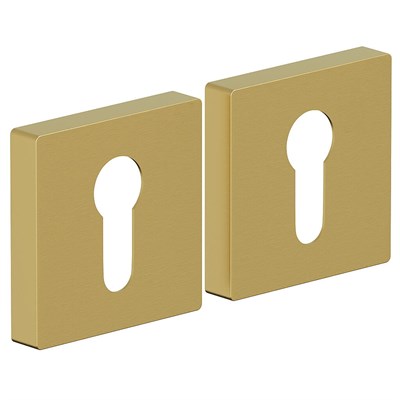 Накладка AS-6CL SGold sp2510BR_047-7555