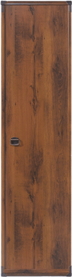 Шкаф Индиана дуб саттер JREG 1d  Дуб саттер, Дуб саттер msk26brw_01862302804