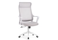 Компьютерное кресло Rino light gray / white 15632-mwdvl