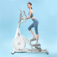 Yesoul Эллиптический тренажер YESOUL Smart Elliptical machine E30S E30S-mrv4