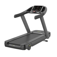 Профессиональная беговая дорожка DHZ X-8200 89e5edf6-5255-11e7-93f9-00155d686700-tmzspr