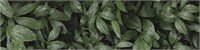 Фартук для кухни «Ботанический сад»,  ХДФ с у/ф печатью  ,    ,  610*2440*3 sppr5VVTtoAR122-2186 (68747)