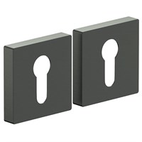 Накладка  AS-6CL SGraphite spBRV047-7556