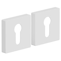 Накладка  AS-6CL SWhite spBRV047-7557