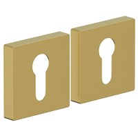 Накладка AS-6CL SGold sp2510BR_047-7555