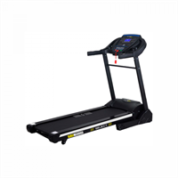 Беговая дорожка Altezani ALS 1300 А ms26gym_764