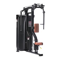 Баттерфляй задние дельты LS-101 ms26gym_1204
