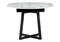 Стеклянный стол Регна 100(130)х100х75 черный / белый 504219-mwdvl - фото 2618601