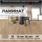 Ламинат  Peli Grand  Монгольский Дуб  1290x190x12  GR-704 упак. на  1,471 кв. метров GR-704-msPL - фото 3167615 Ламинат  Peli Grand  Монгольский Дуб  1290x190x12  GR-704 упак. на  1,471 кв. метров GR-704-msPL - фото 3167615