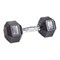 Гантель гексагональная обрезиненная PROFI-FIT 10 кг арт-gffglpyg1wt2-tmzspr - фото 3247143