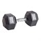 Гантель гексагональная обрезиненная PROFI-FIT 17,5 кг арт-coiwyctxevrz-tmzspr - фото 3247152