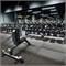 Гантельный ряд PROFESSIONAL (шаг 2,5 кг, 10 пар) PROFI-FIT 27,5-50 кг арт-uhetl4yynvsg-tmzspr