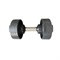 Гантель с регулируемым весом DHZ 32 кг a9cfafea-8565-11eb-9466-00155d686700-tmzspr