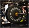Диск для штанги HI-TEMP с цветными вкраплениями D51 мм PROFI-FIT 5 кг арт-5b457ekevkn1-tmzspr